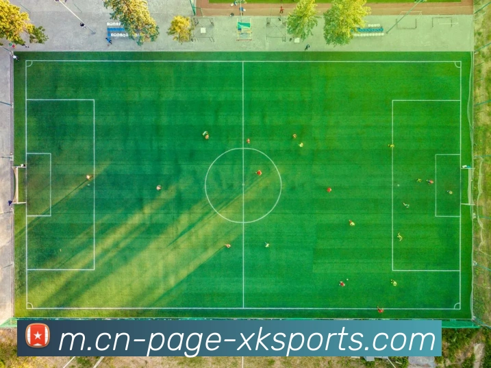 多媒体互动体验